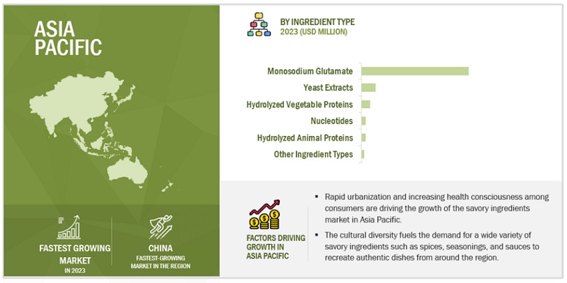 North American Savory Ingredients Market Size, and Share