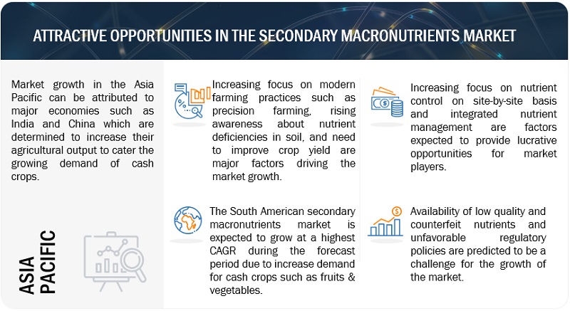 Secondary Macronutrients Market Overview