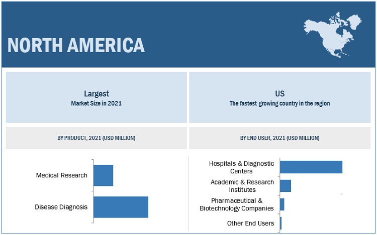 Slide Stainer Market by Region