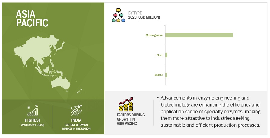 Specialty Enzymes Market by Region