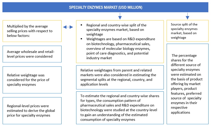 Specialty Enzymes Market Top Down Approach