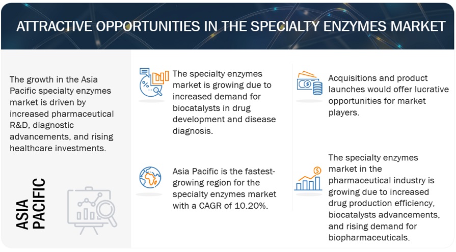 Specialty Enzymes Market Opportunities