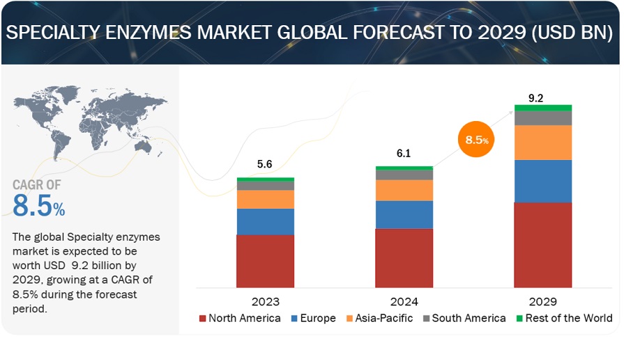 Specialty Enzymes Market Forecast