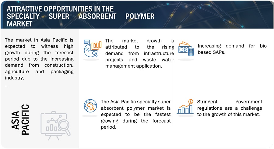 Specialty Super  Absorbent Polymer Market