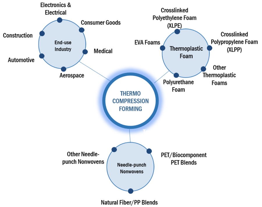 Thermo Compression Forming Market Ecosystem