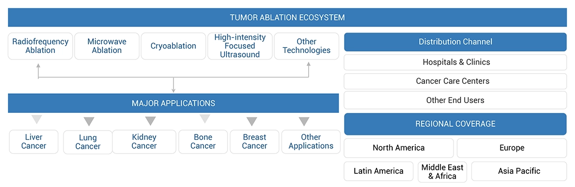 Tumor Ablation Market Ecosystem