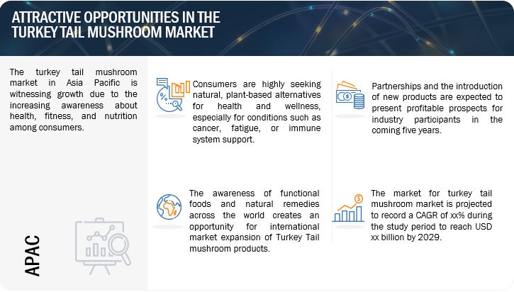  Turkey Tail Mushroom Market Opportunities