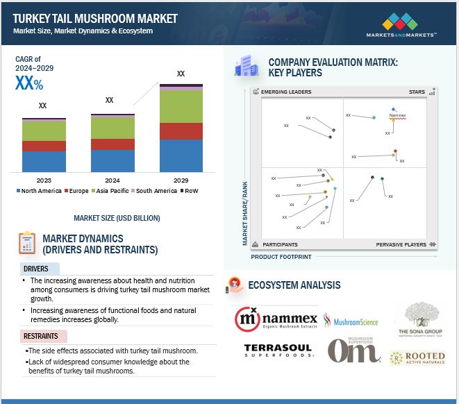  Turkey Tail Mushroom Market Trends