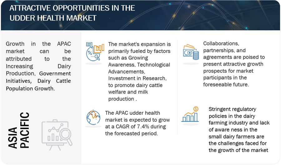 Udder Health Market