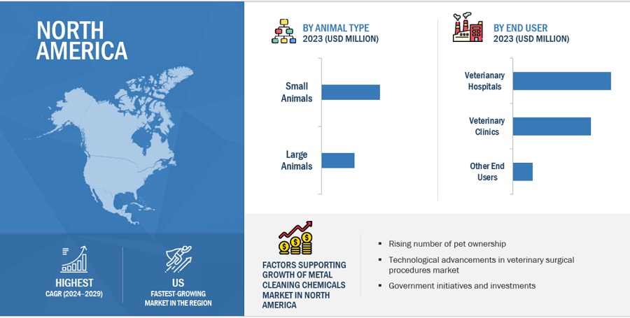 Veterinary Surgical Procedures Market by Region