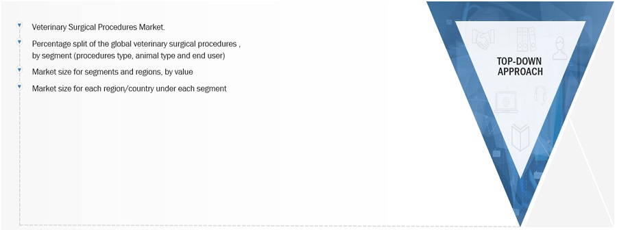 Veterinary Surgical Procedures Market Size, and Share 