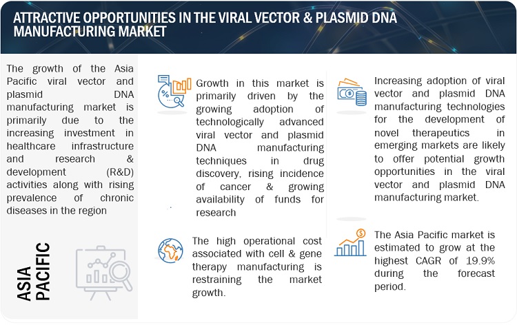 Viral Vector & Plasmid DNA Manufacturing Market
