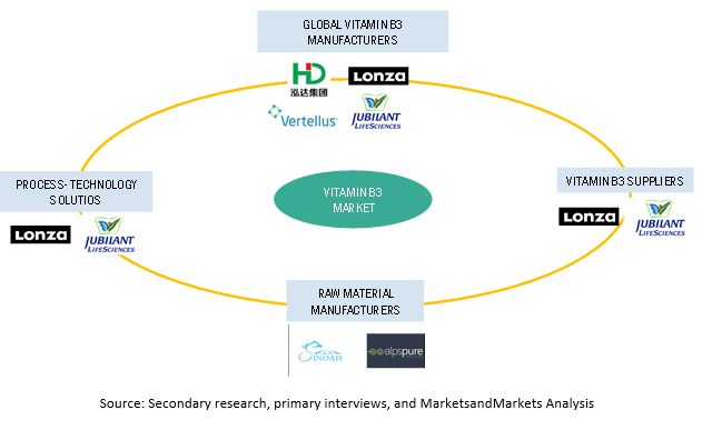 Vitamin B3 Market  Ecosystem 