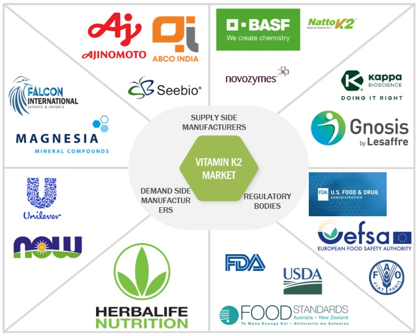Top Companies in Vitamin K2 Market