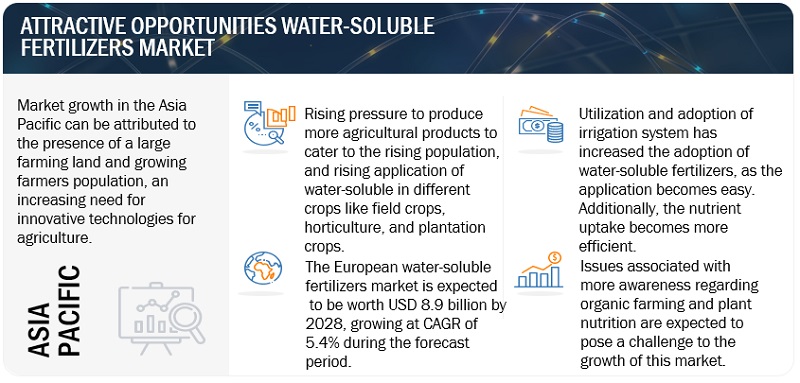 Water-soluble Fertilizers Market Trends