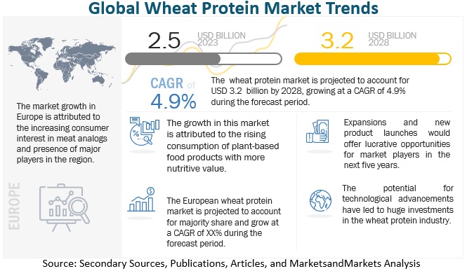 Wheat Protein Market