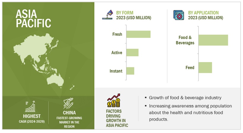 Yeast Market Size, and Share