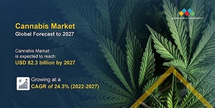 https://www.marketsandmarkets.com/images/cannabis-market-overview.jpg